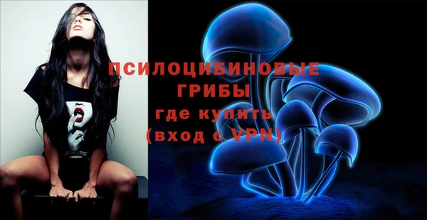 гидра Абдулино