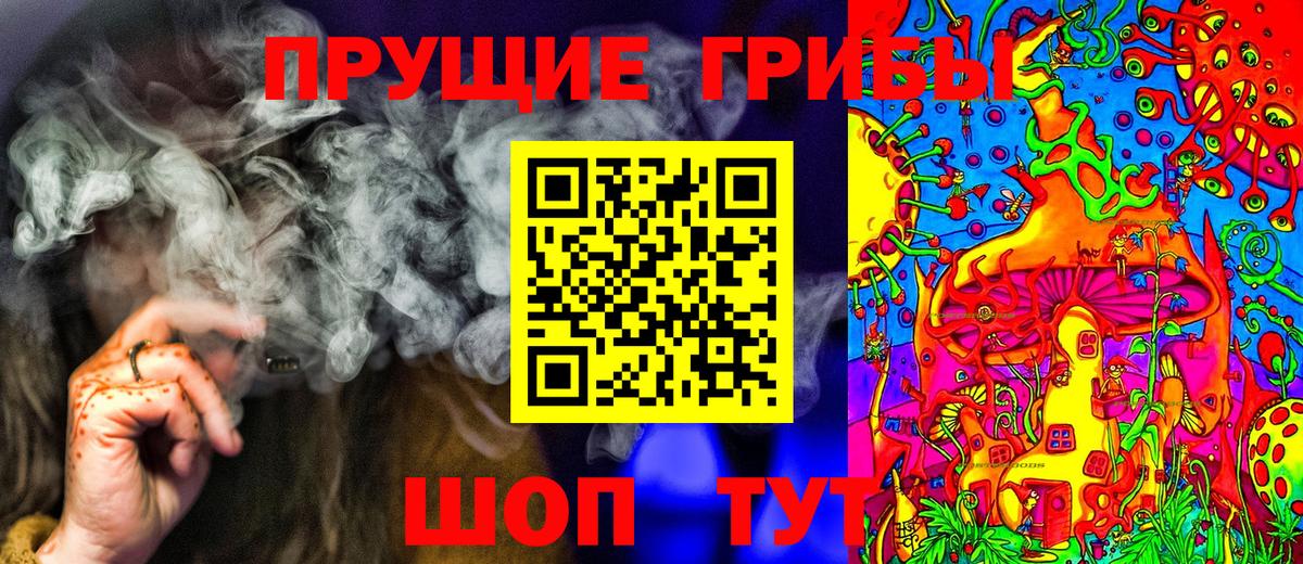 Псилоцибиновые грибы GOLDEN TEACHER Красноармейск